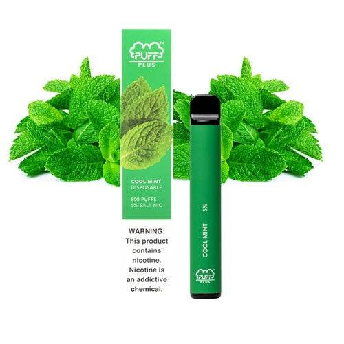 Cool Mint