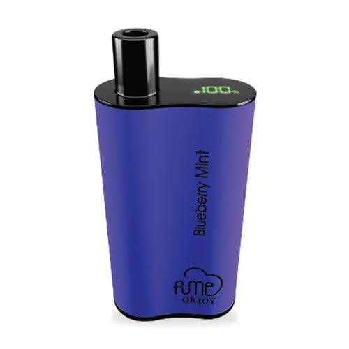 Blueberry Mint (Plus+ LED Display 4500 Puffs)
